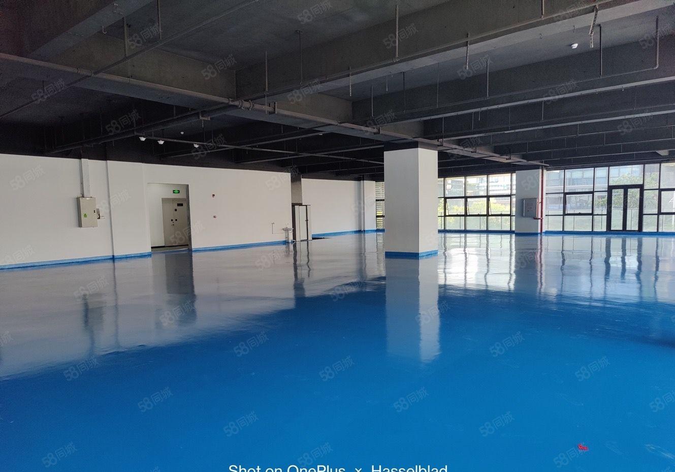 东莞长安原房东工业园区全新厂房20000平厂房出租200起分