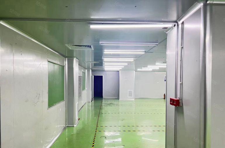 长安沙头新出原房东无尘车间1300平方标准厂房出租