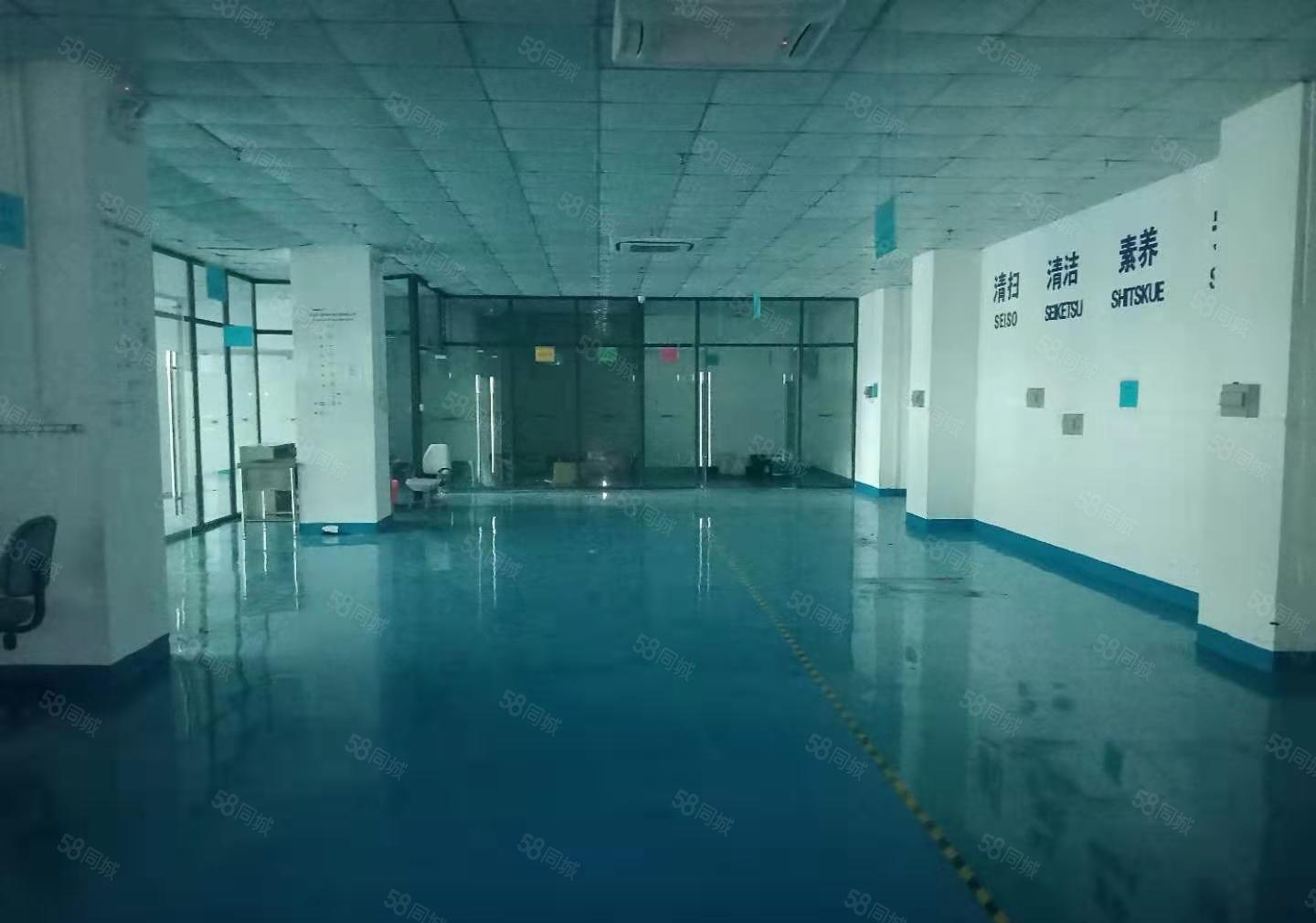 长安上沙新出楼上全新地坪漆豪华精装修900平方厂房出租