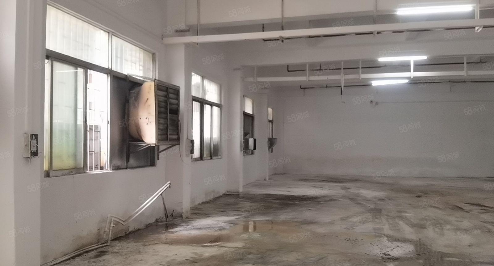 长安锦厦950平一楼厂房层高5米园区厂房带消防喷淋价格美丽