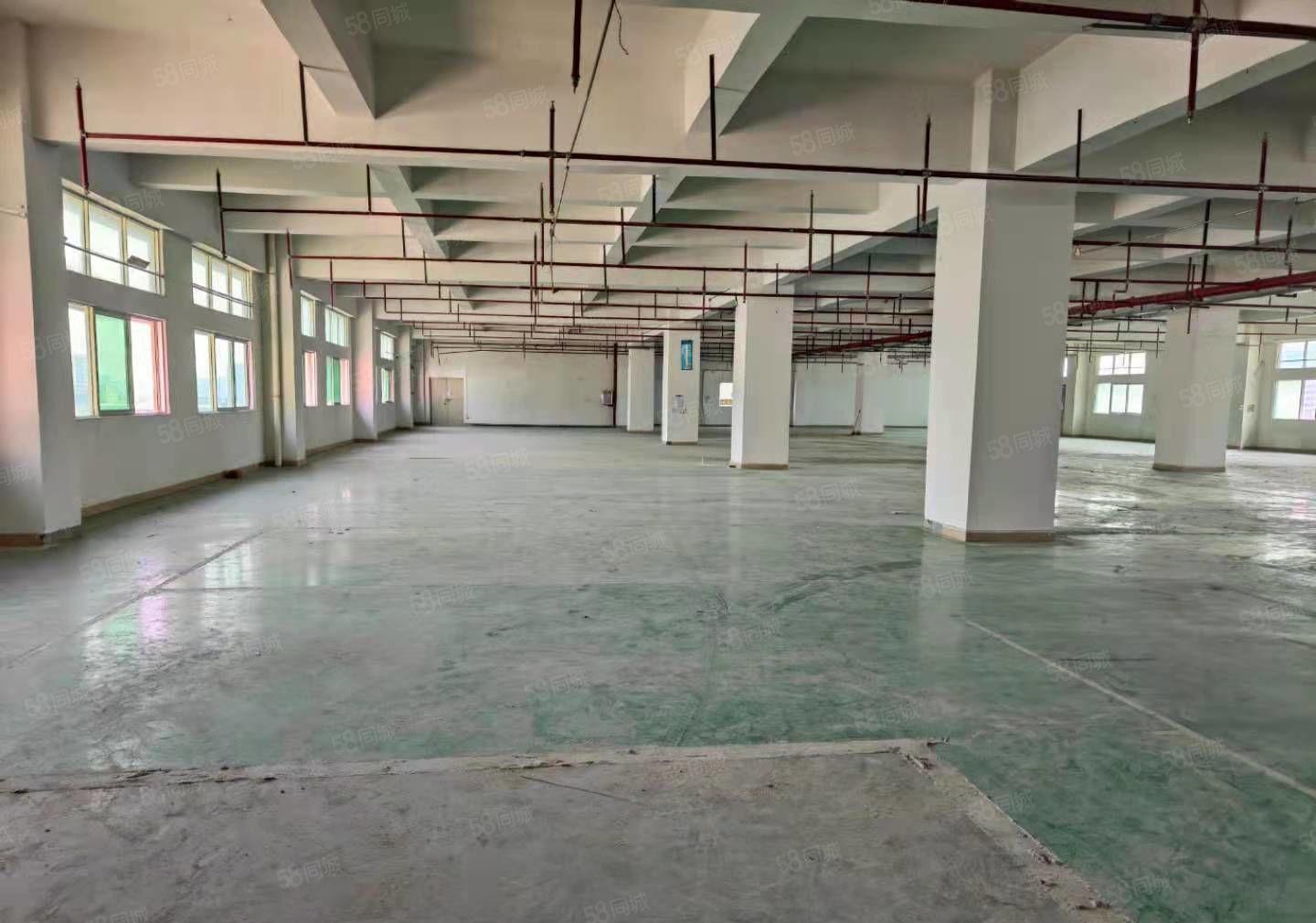 街口新出三楼厂房2200平形象好空地大车位充足好招工