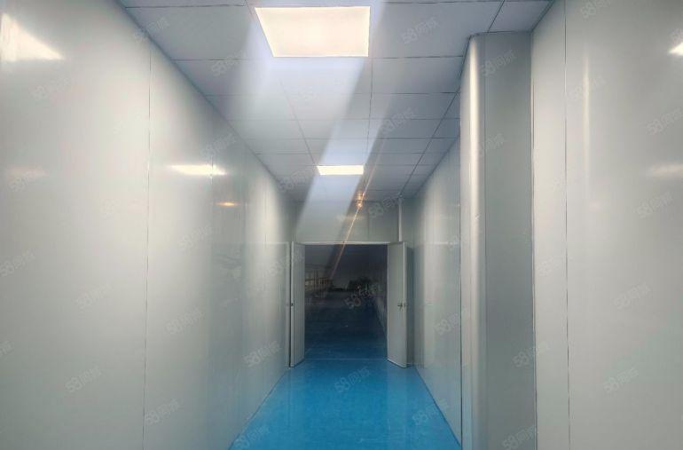 长安沙头新空楼上800平洁净厂房招租