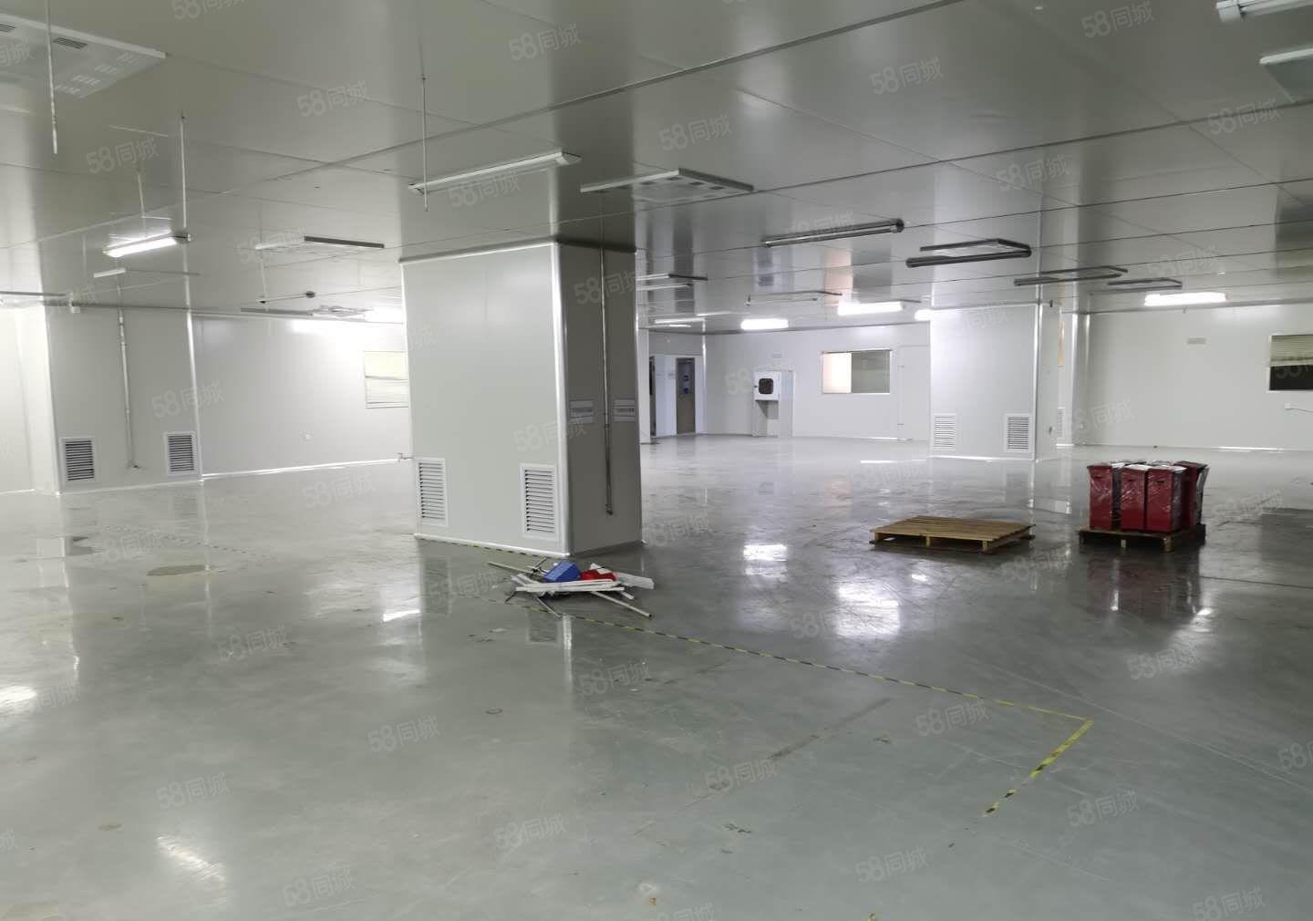 楼上精装修厂房招租1000平方，工业厂房水电齐全，交通方便