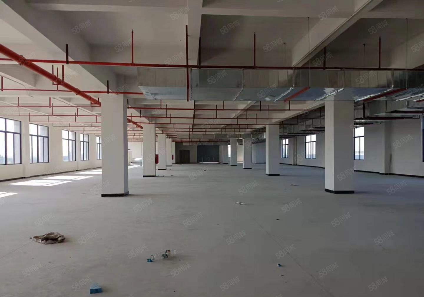 长安原房东全新标准厂房独院一楼带牛腿7米高可分租