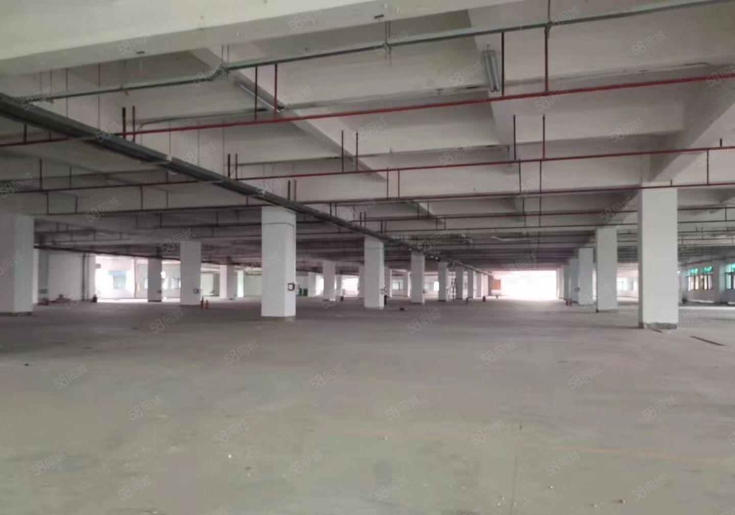 长安原房东红本独院出租大小可分租