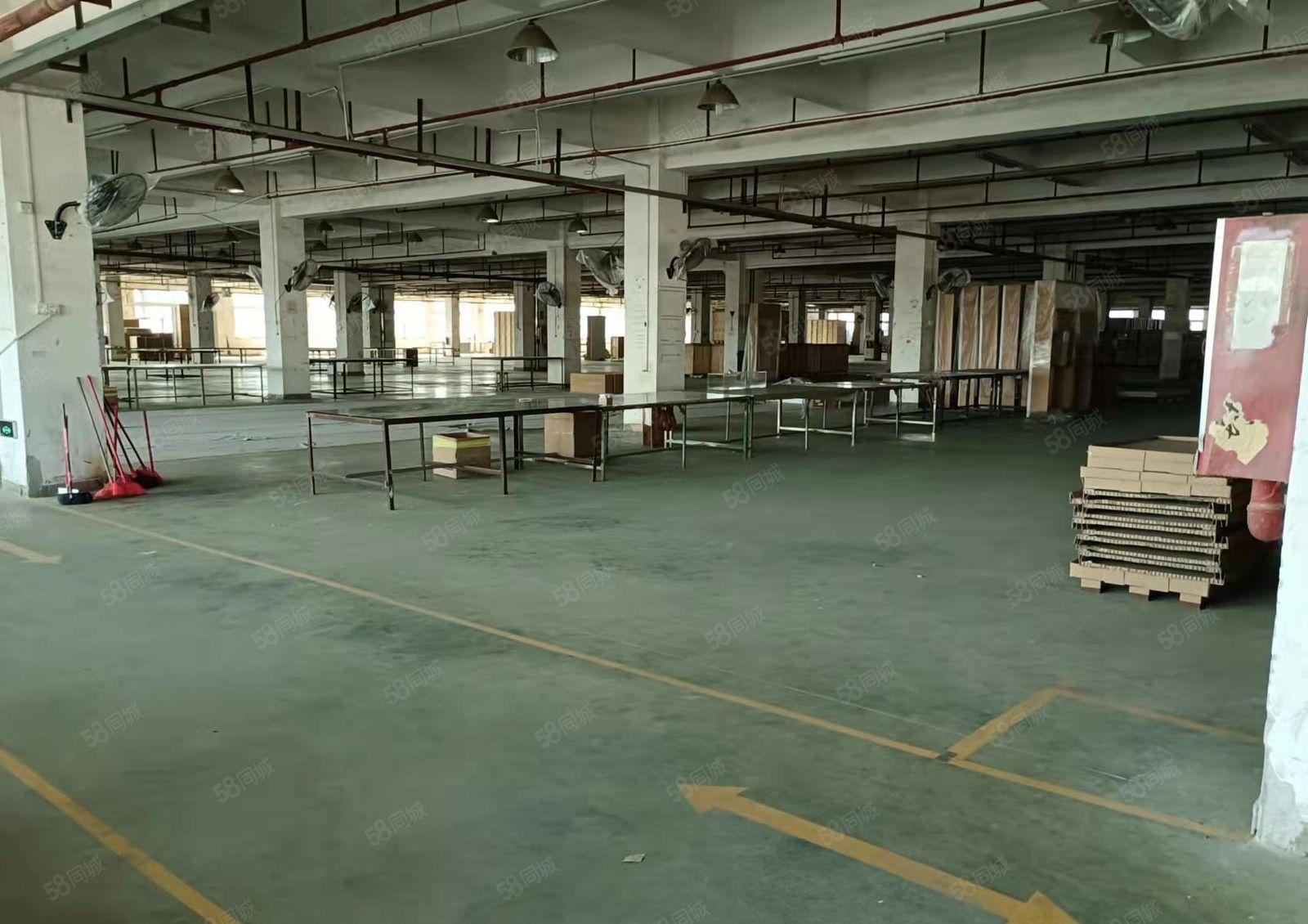 急租，低租金 长安镇锦厦新出楼上厂房11000平出租 可分租