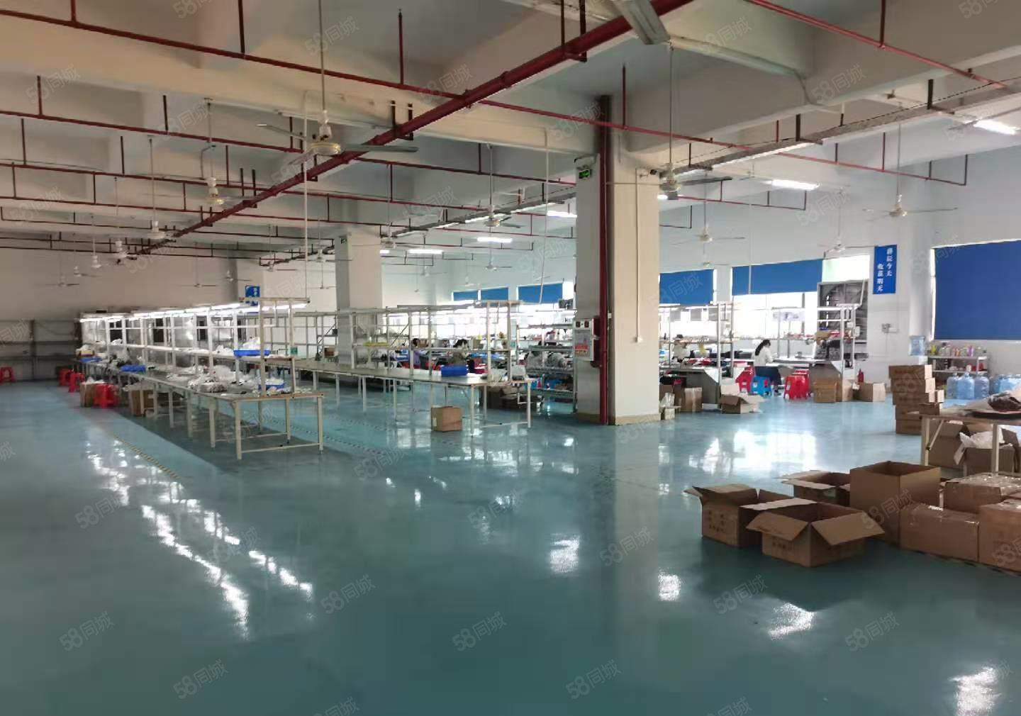 出租长安厦岗独门独院5000左右，设施齐全