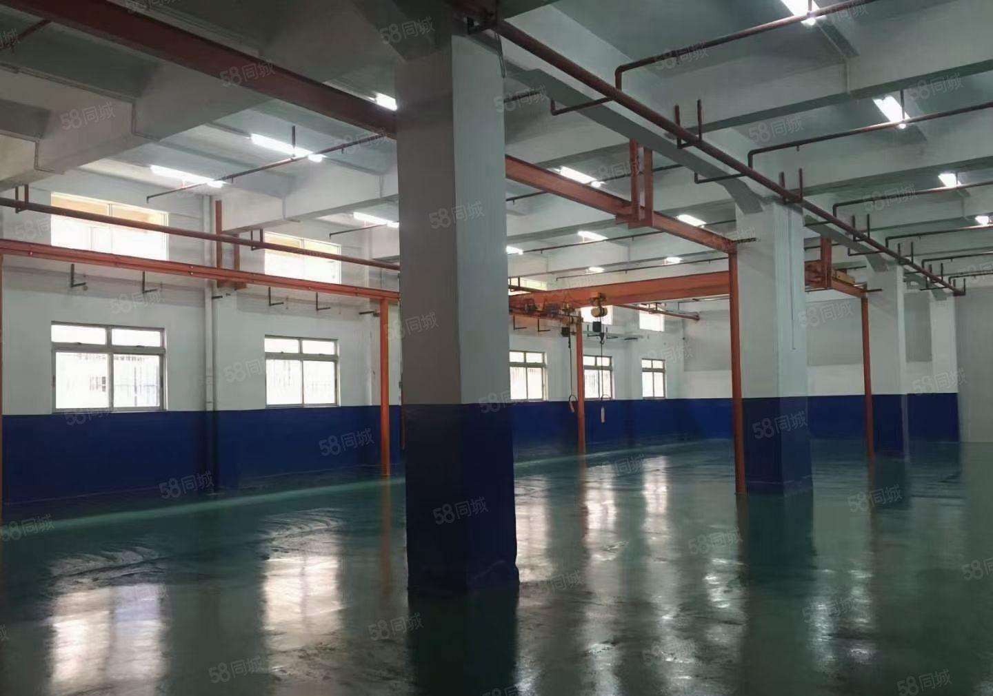 （精装修，带行车）长安镇上沙工业园一楼2000平厂房出租！