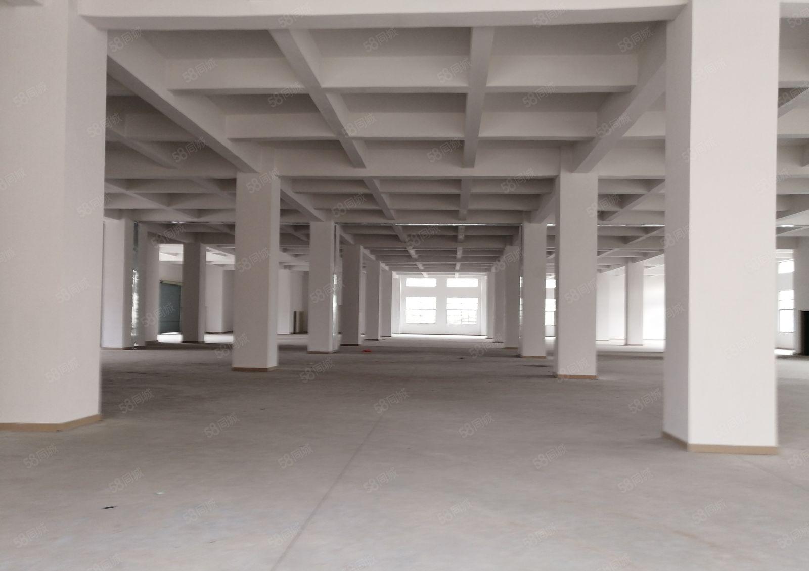 长安厦边全新重型厂房