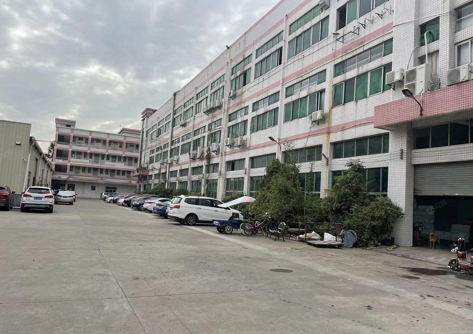 沿江高速口一楼厂房1600平6米高带牛角形象好空地超大