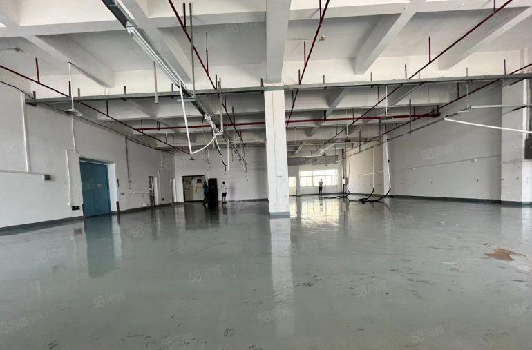 厦岗社区新出780平方，自带豪华装修大气前，空地超大停车充足