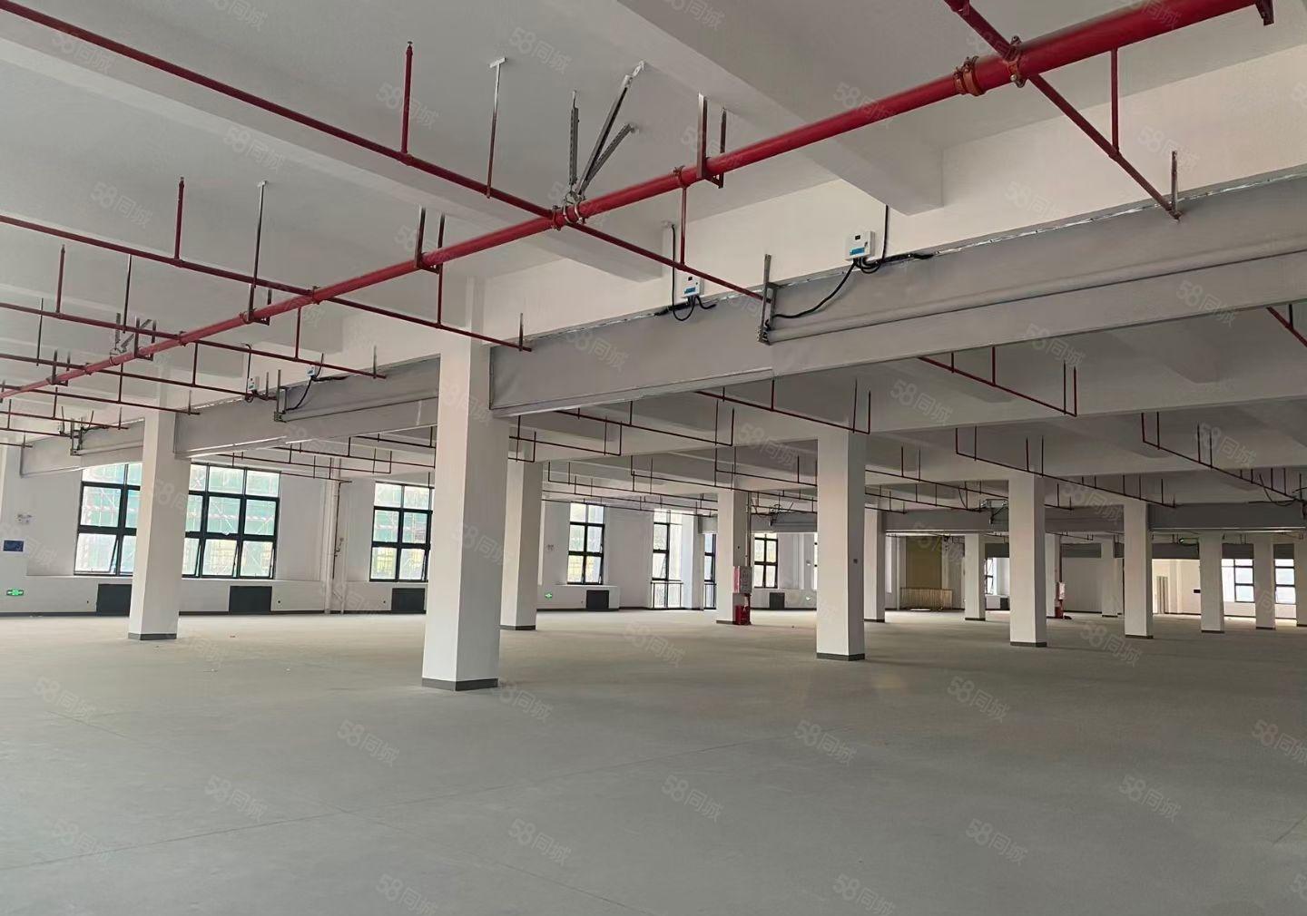 长安原房东全新标准厂房独院一楼带牛腿7米高可分租