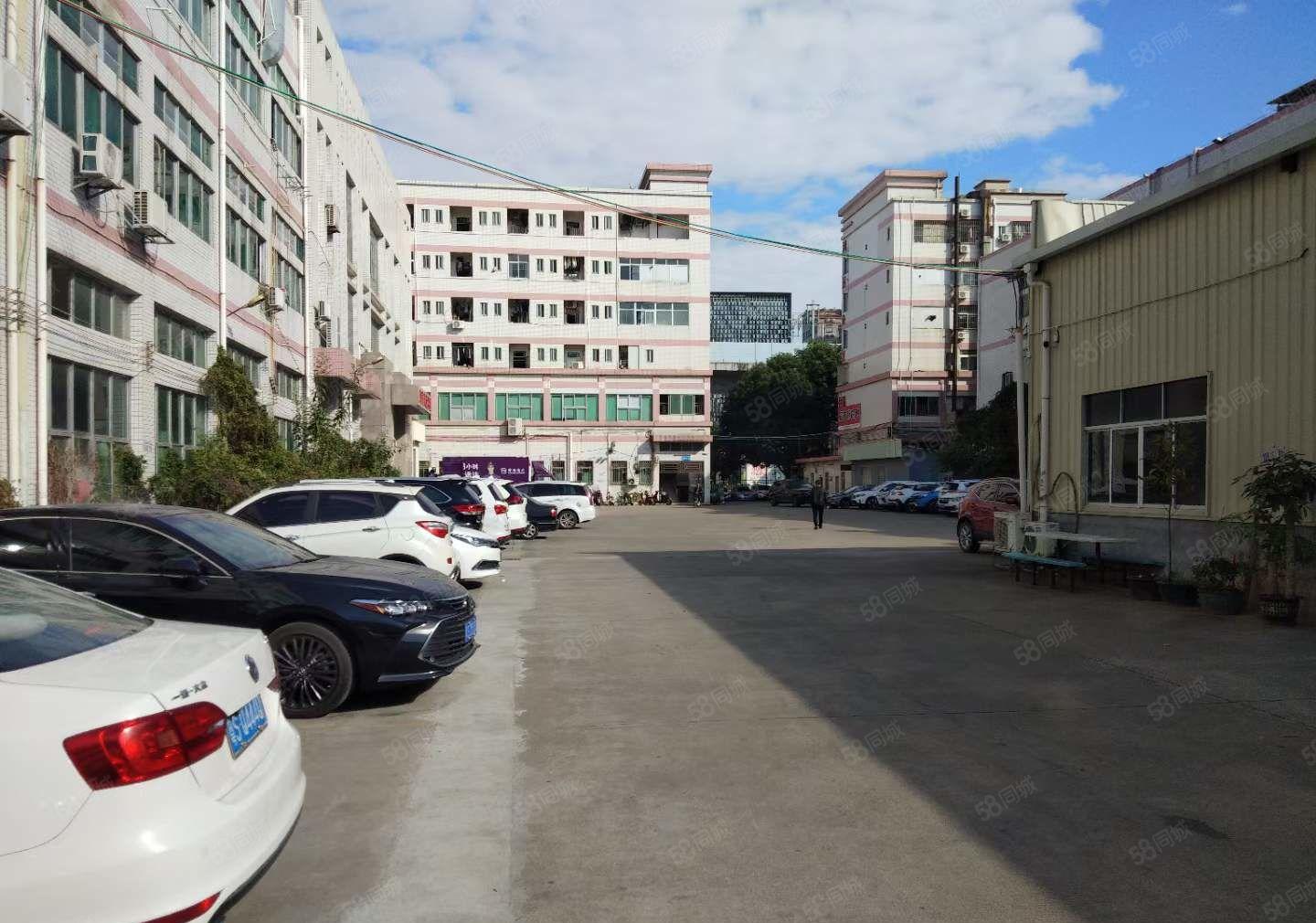 长安厦边沿江高速附近 1500平一楼厂房出租 带牛角 办公室