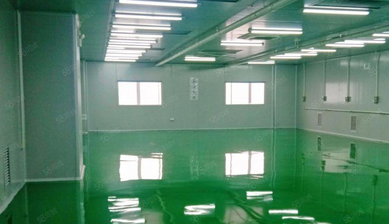 长安街口无尘车间厂房2400平，2部3吨货梯紧靠广深高速路口