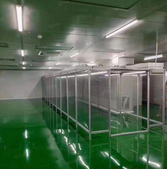 新出豪华装修标准厂房1500平低价出租，可分租。