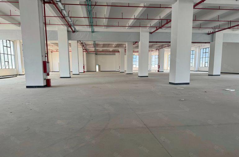 长安全新红本厂房出租，工业用地靠近深圳，一手房东低价出租