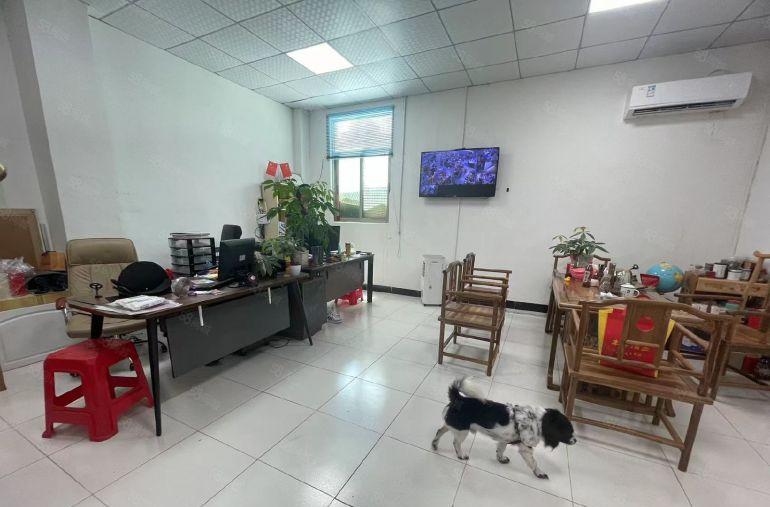 长安厦岗10万级无尘车间1000平现成装修厂房出租仓库出租