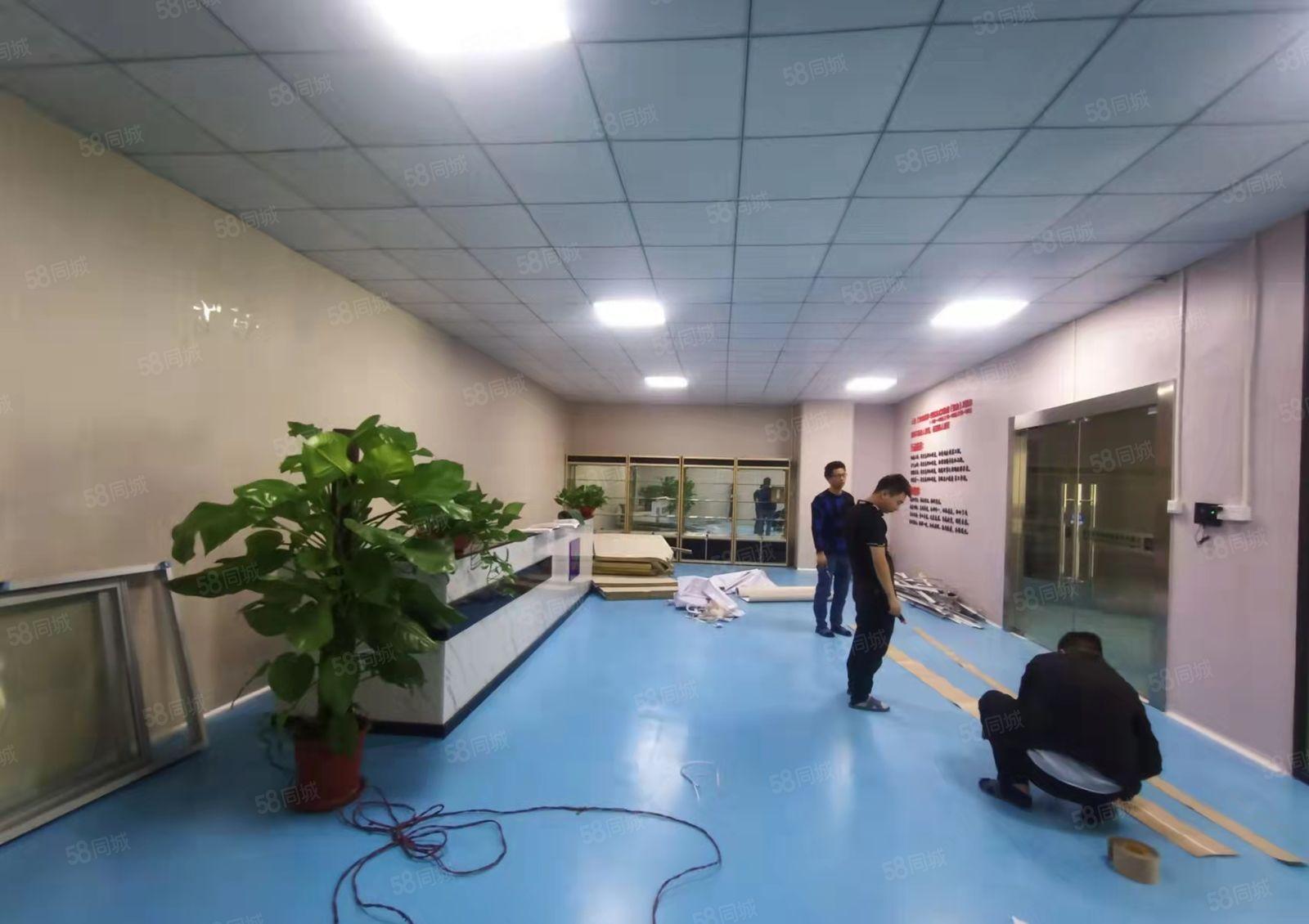 低租金 长安乌沙新出1200平无尘车间 带室内车位 无杂费