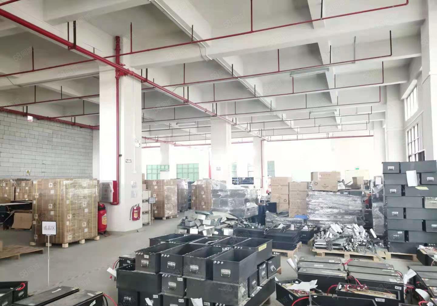 出租长安沙头东大街附近，一楼1200平，价格优惠