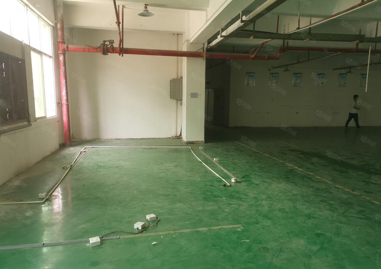 厦边新出楼上1100平方精装修厂房招租