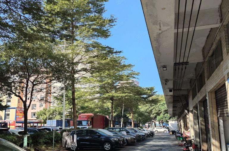 东莞长安涌头华兴工业园一楼厂房原房东直租