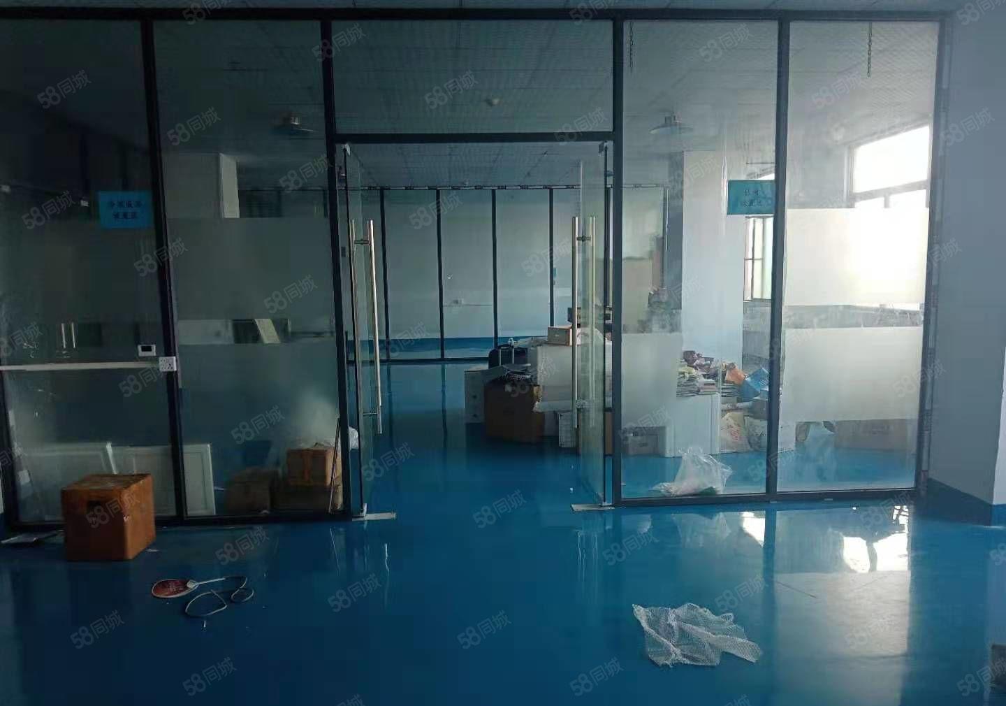 长安上沙新出楼上全新地坪漆豪华精装修900平方厂房出租