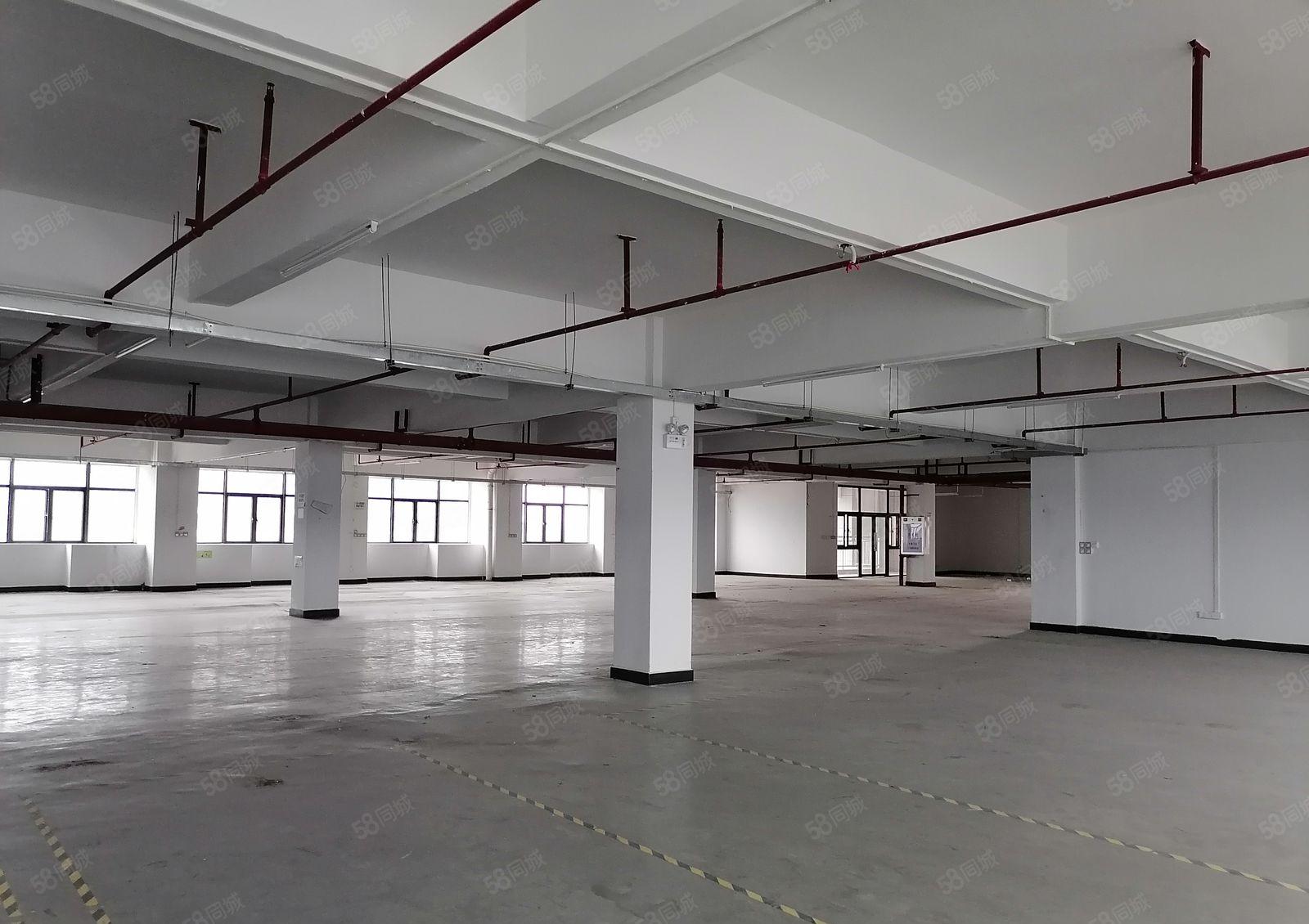 长安全新原房东红本独院厂房出租，靠近深圳，可办环评