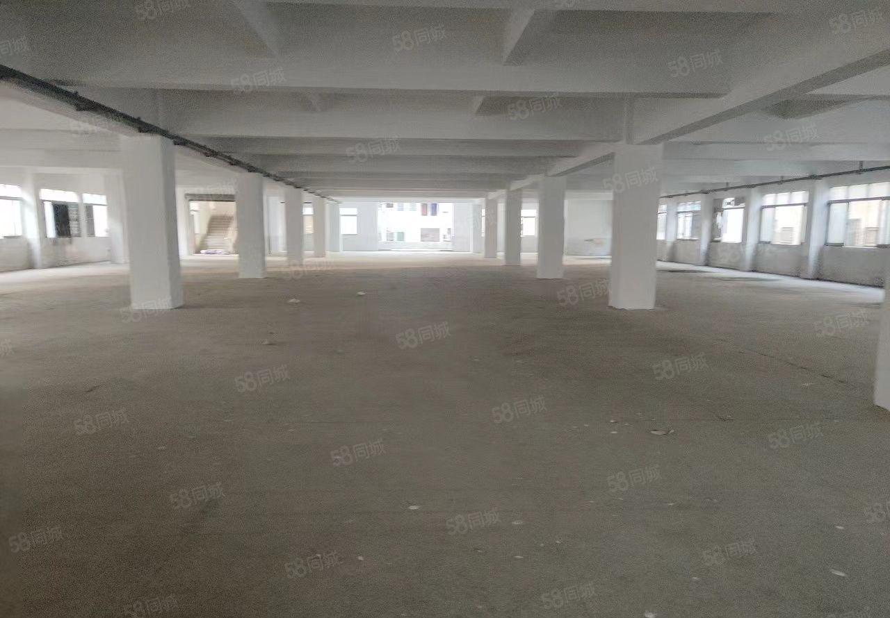 长安厦岗九成新独门独院厂房出租 临近虎门 交通方便