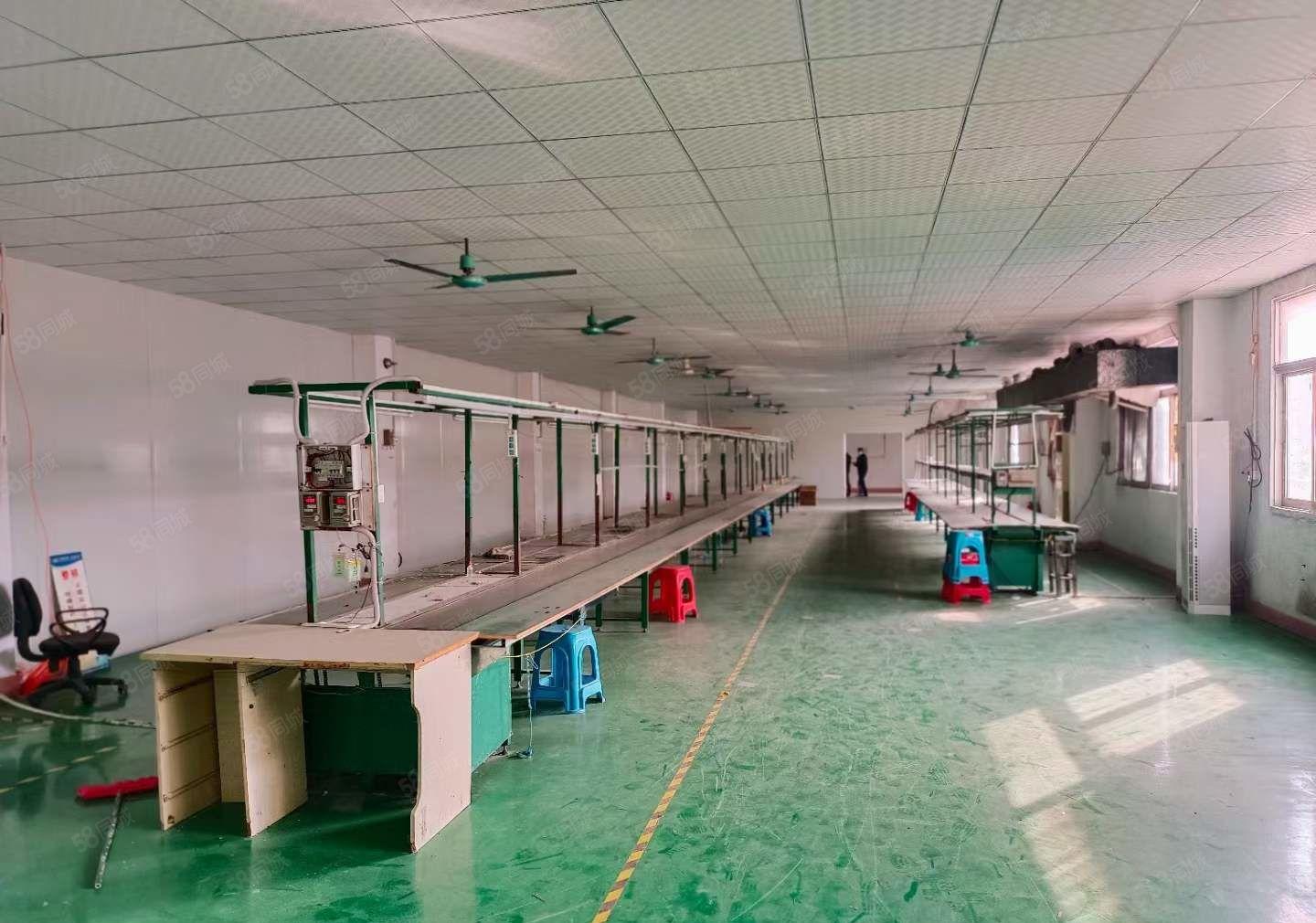 长安沙头新出三楼1000平洁净车间厂房出租 可分租