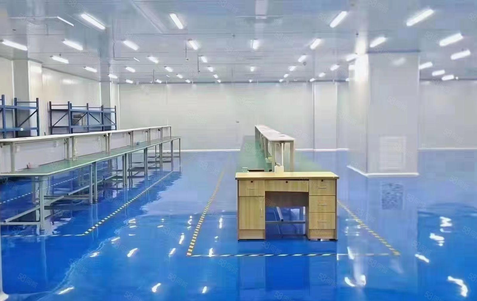 低租金 长安乌沙新出1200平无尘车间 带室内车位 无杂费