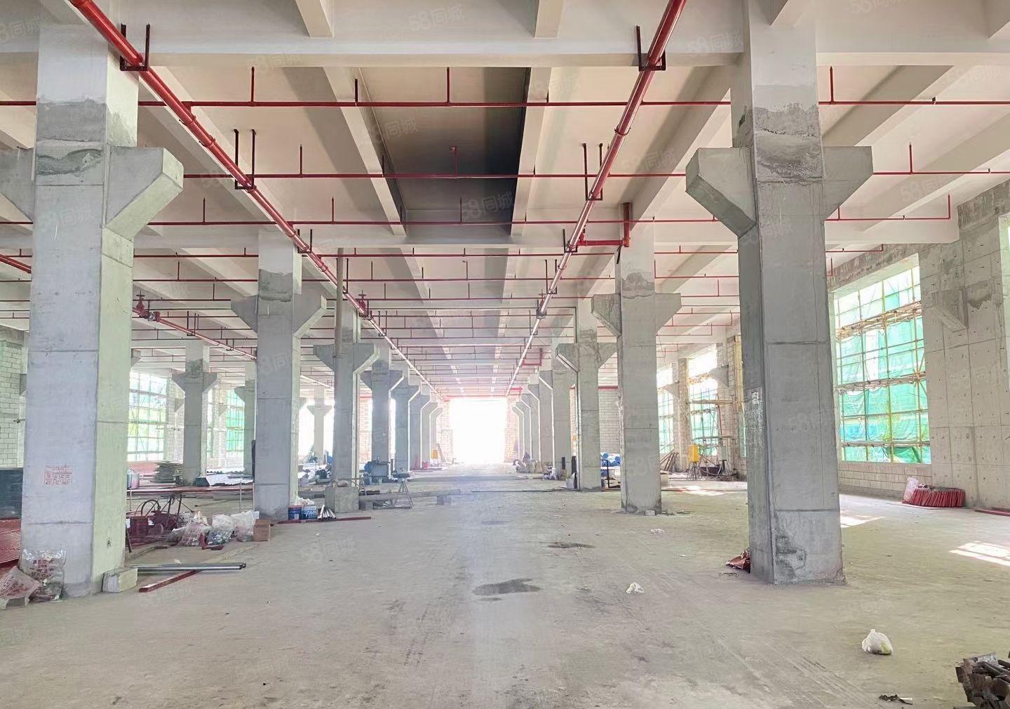 长安原房东全新标准厂房独院一楼带牛腿7米高可分租