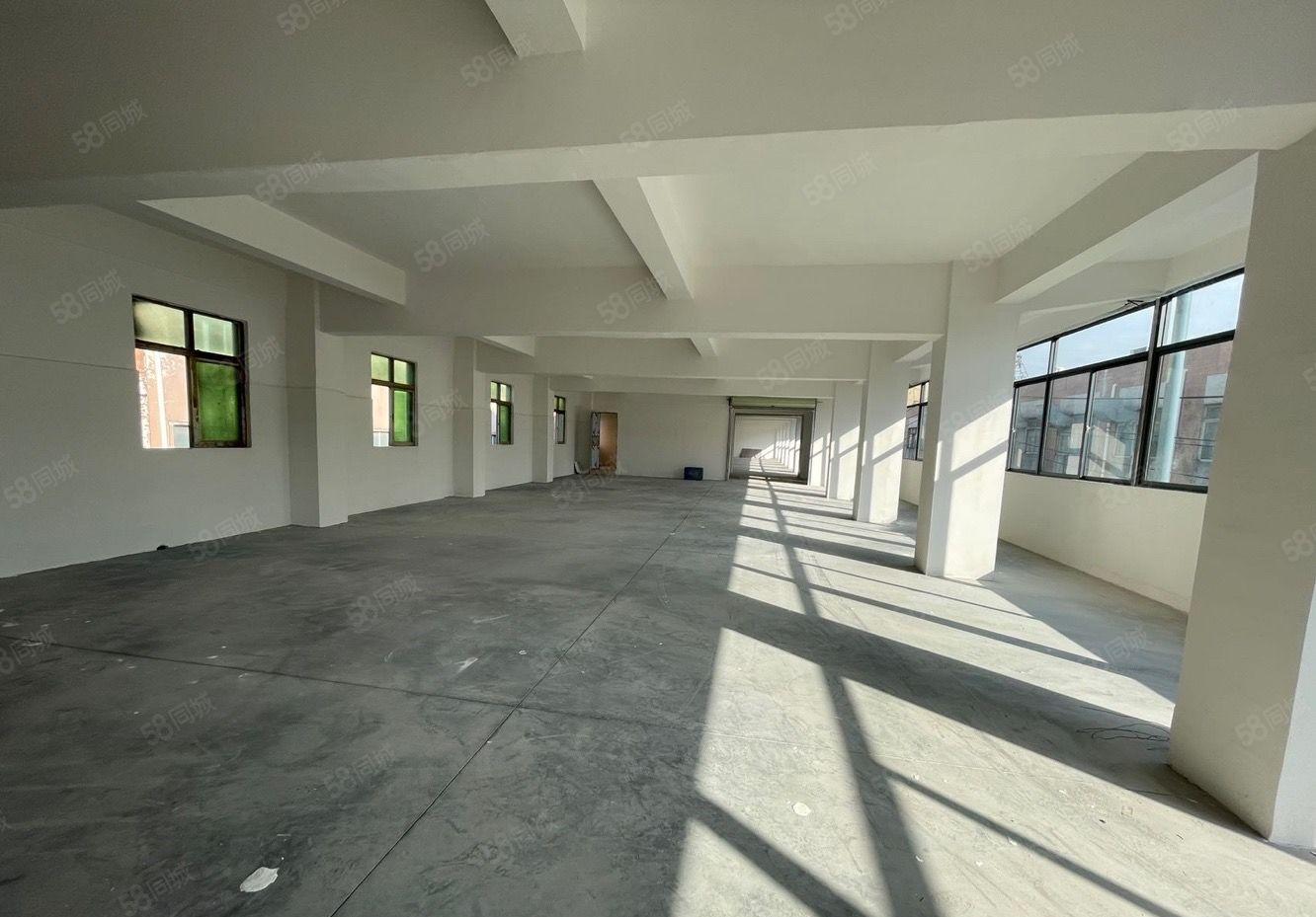 沙头标准厂房 特价12元起 带空地装修 大小可分 适合轻工业