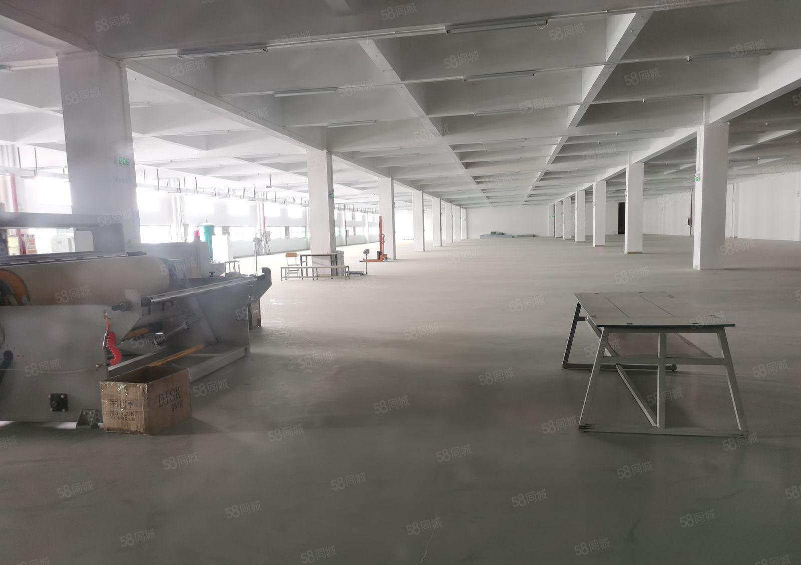 带超声波，印刷，喷油，洗水，喷涂，丝印环保批文厂房出租