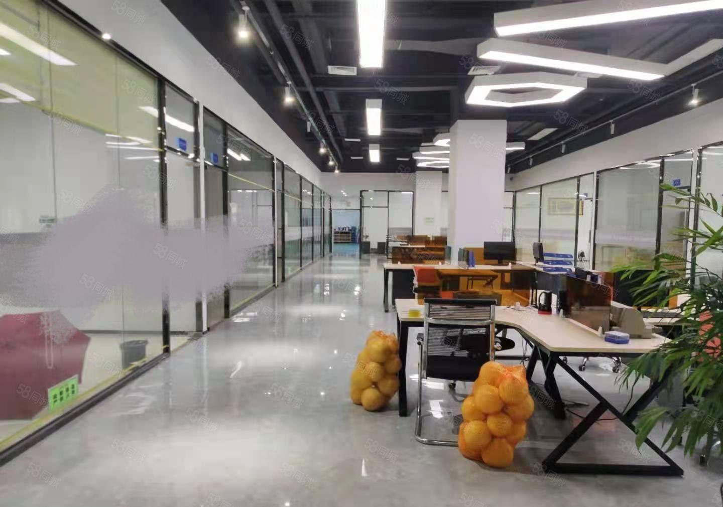 豪华装修水电齐全标准厂房出租整层