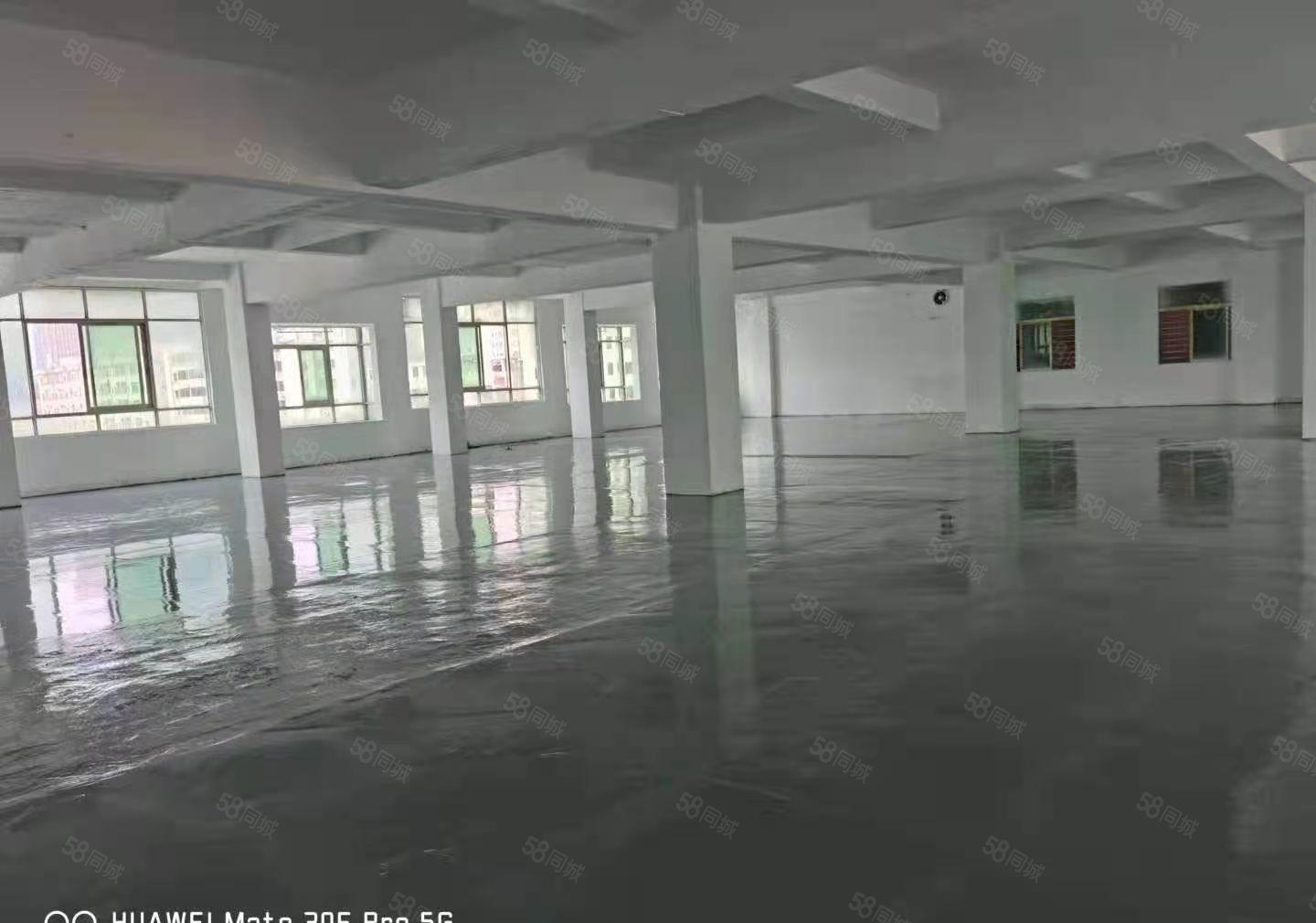 长安厦岗社区原房东独门独栋三层3000平方，合同时间长