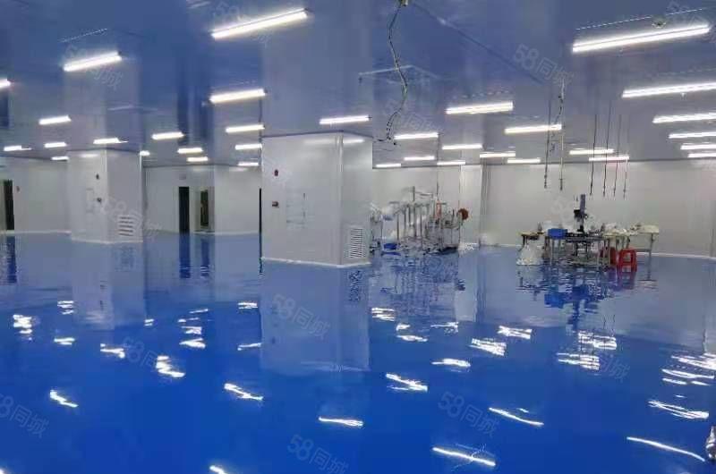 出租长安沙头建安路附近，多层860,1800,3200平