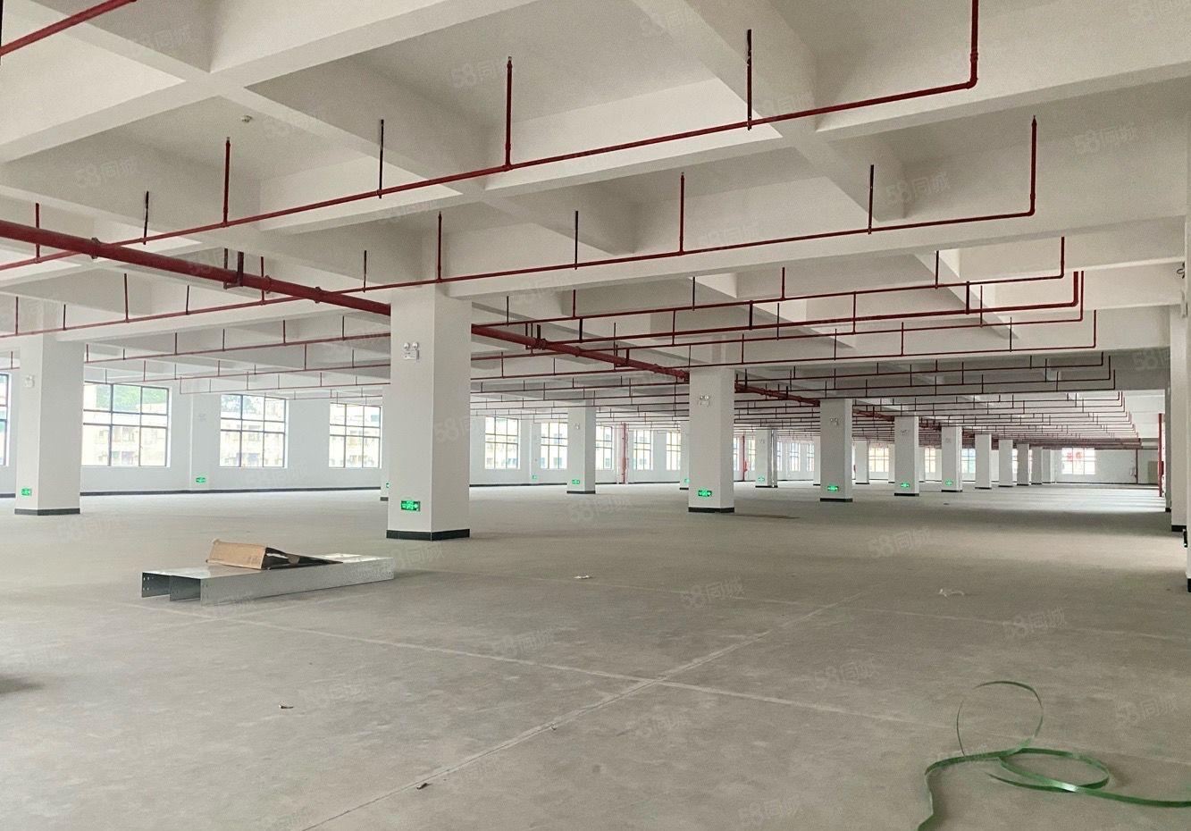 长安新出漂亮园区厂房出租可分租空地大一楼带牛角小加工电子仓库