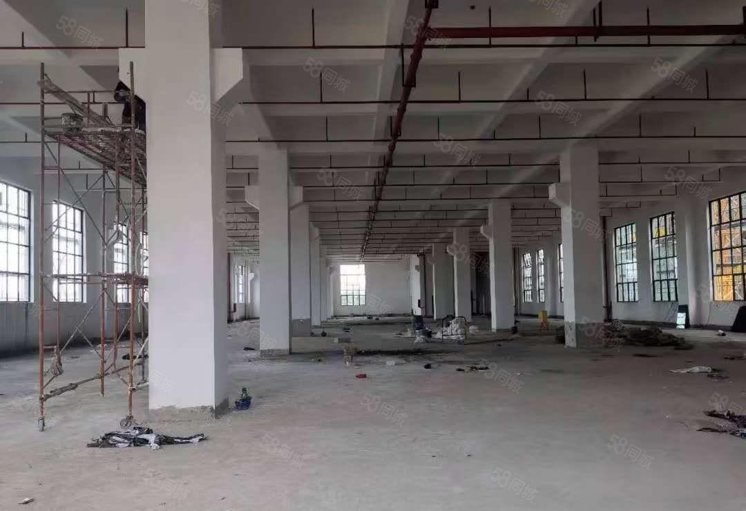 长安临近大岭山全新标准带牛角厂房出租