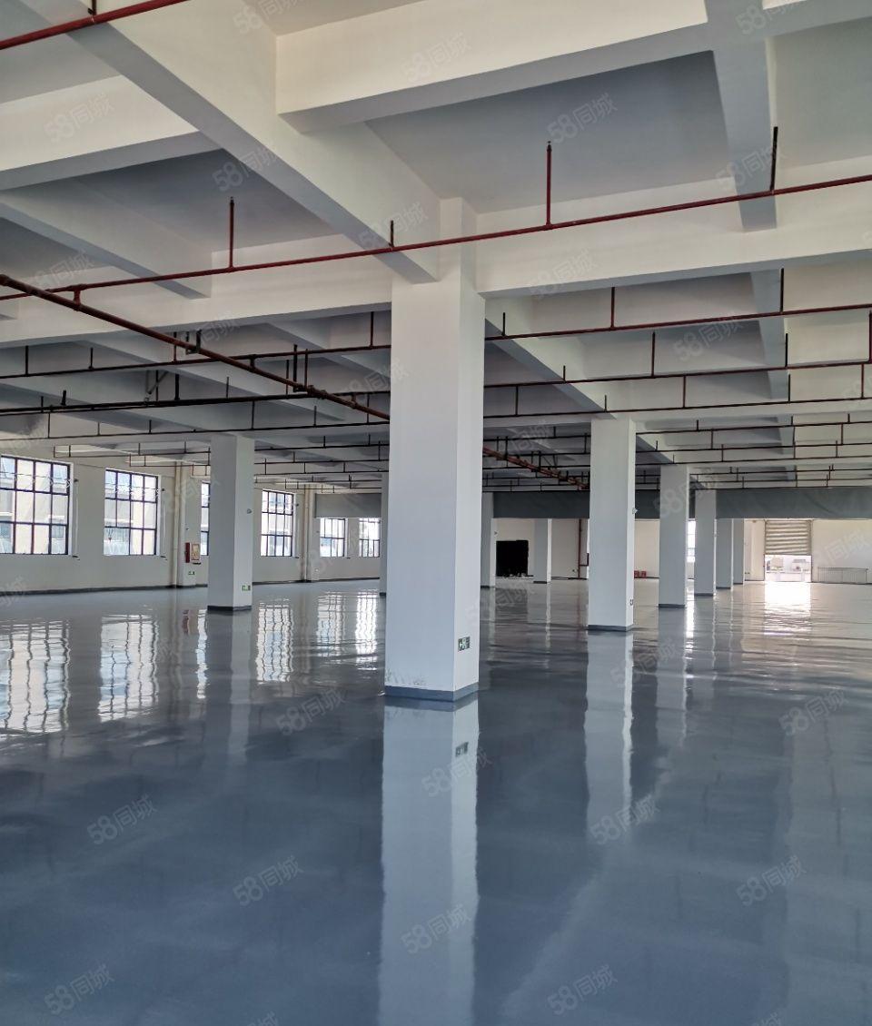 长安临近大岭山全新标准带牛角厂房出租