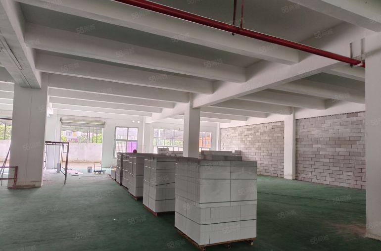 一楼500平方起租 楼上240平方起厂房招租长安沙头