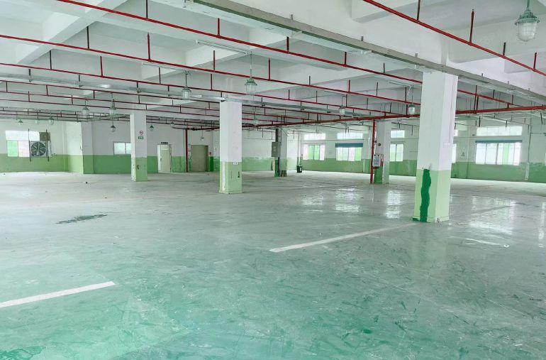 乌沙新出独院厂房出租，300平起分，1楼高度6米低价急租