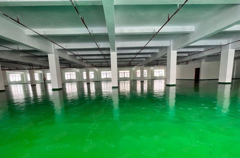 长安锦厦独院2000平厂房出租 临界深圳 低价出租 水电齐全