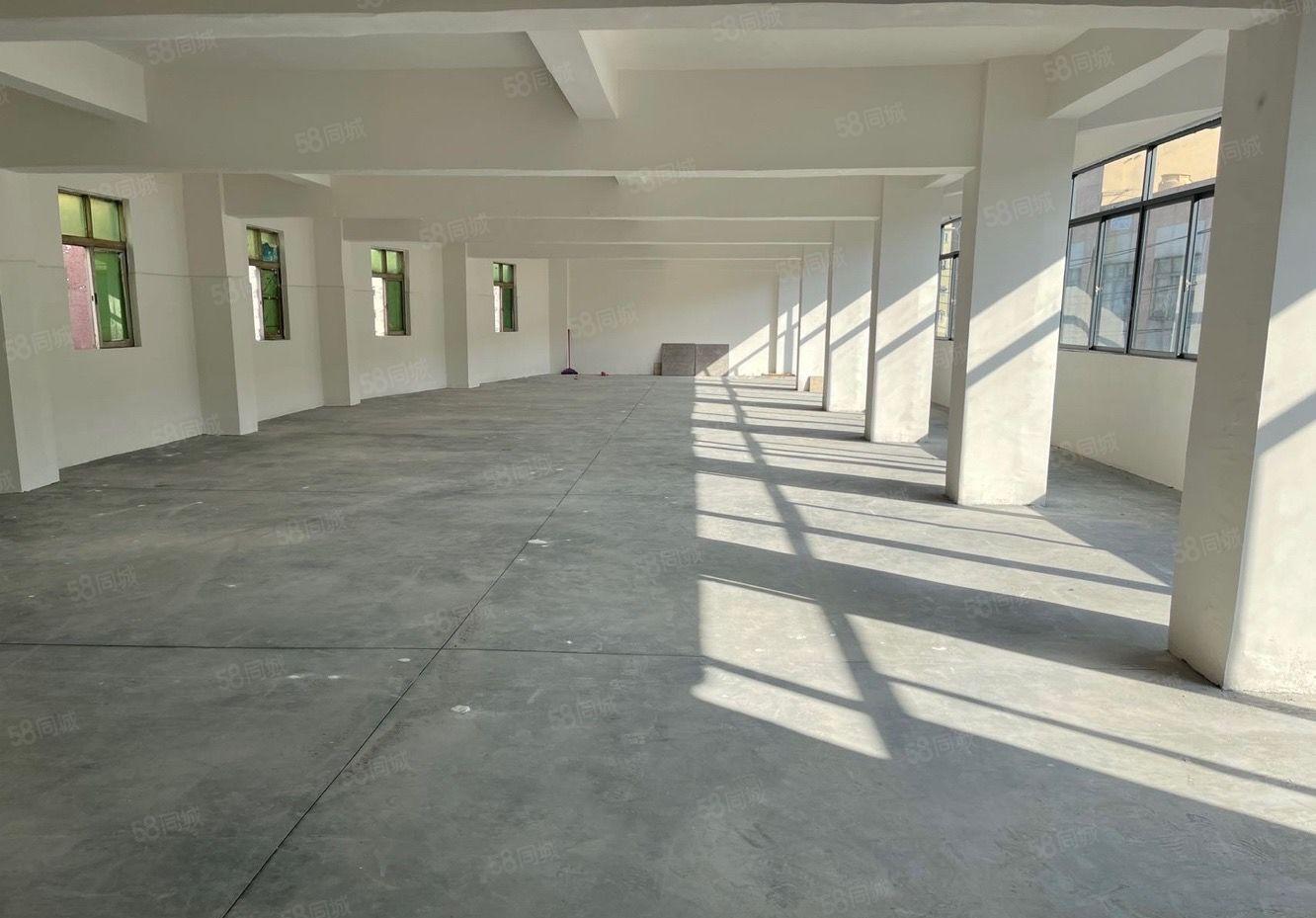 沙头标准厂房 特价12元起 带空地装修 大小可分 适合轻工业