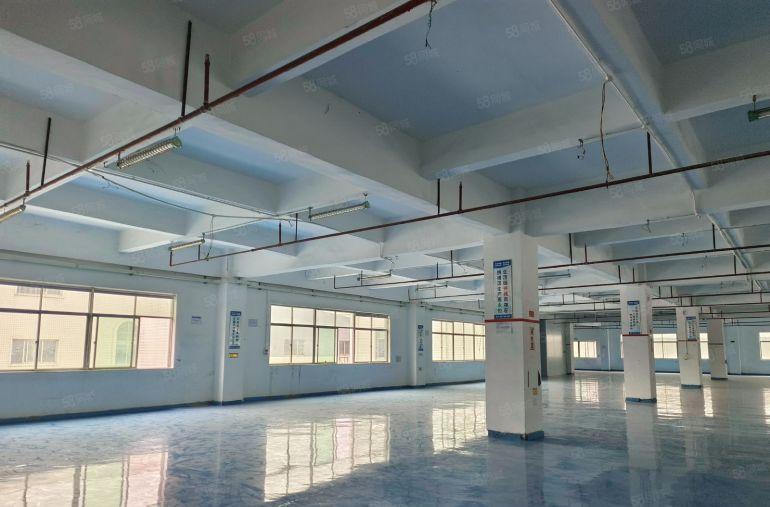 长安增田新安横中路新出一手房东楼上实际1900平方厂房出租