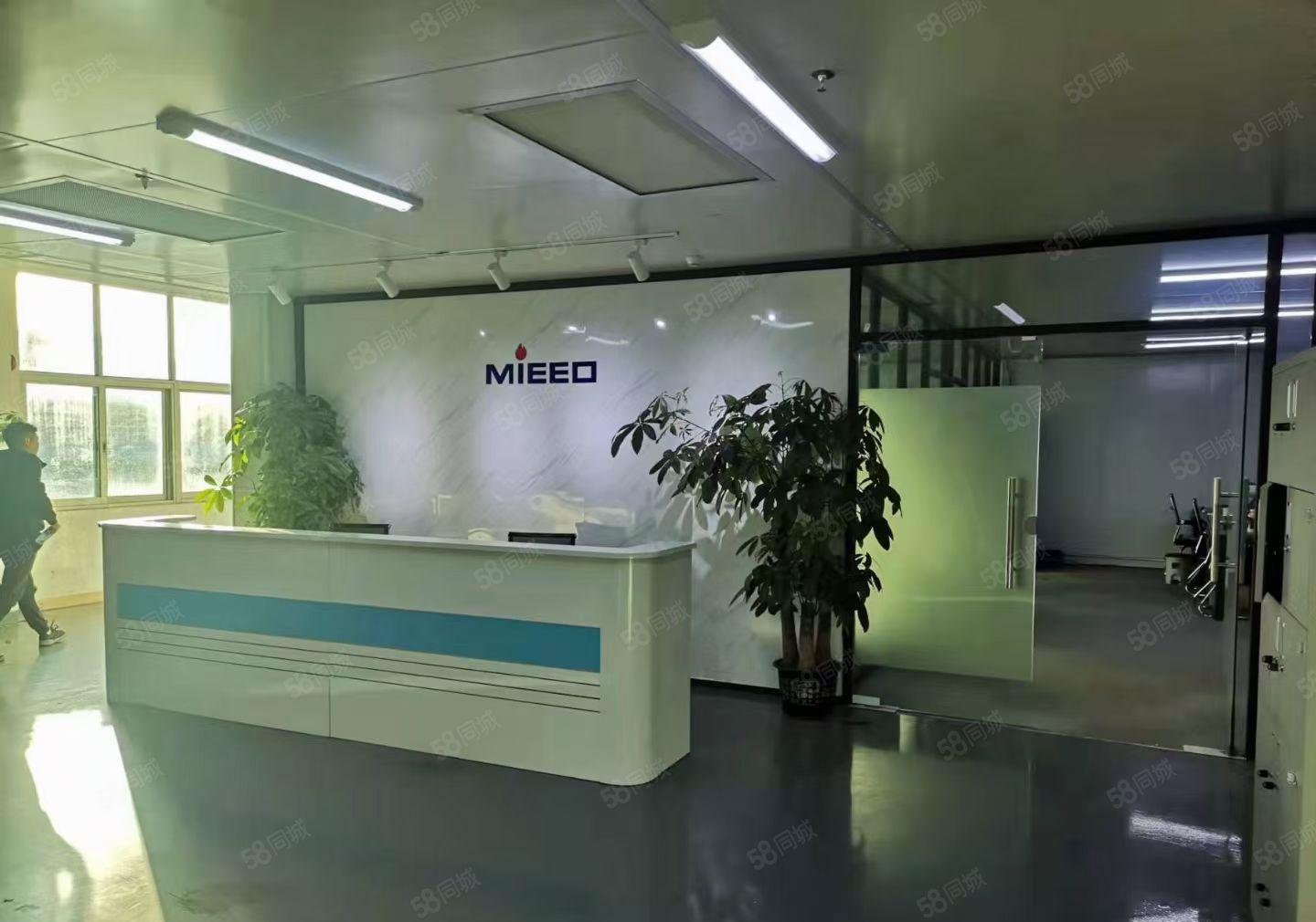 长安沙头成熟工业区楼上整层2000平方无尘车间，不用转让费