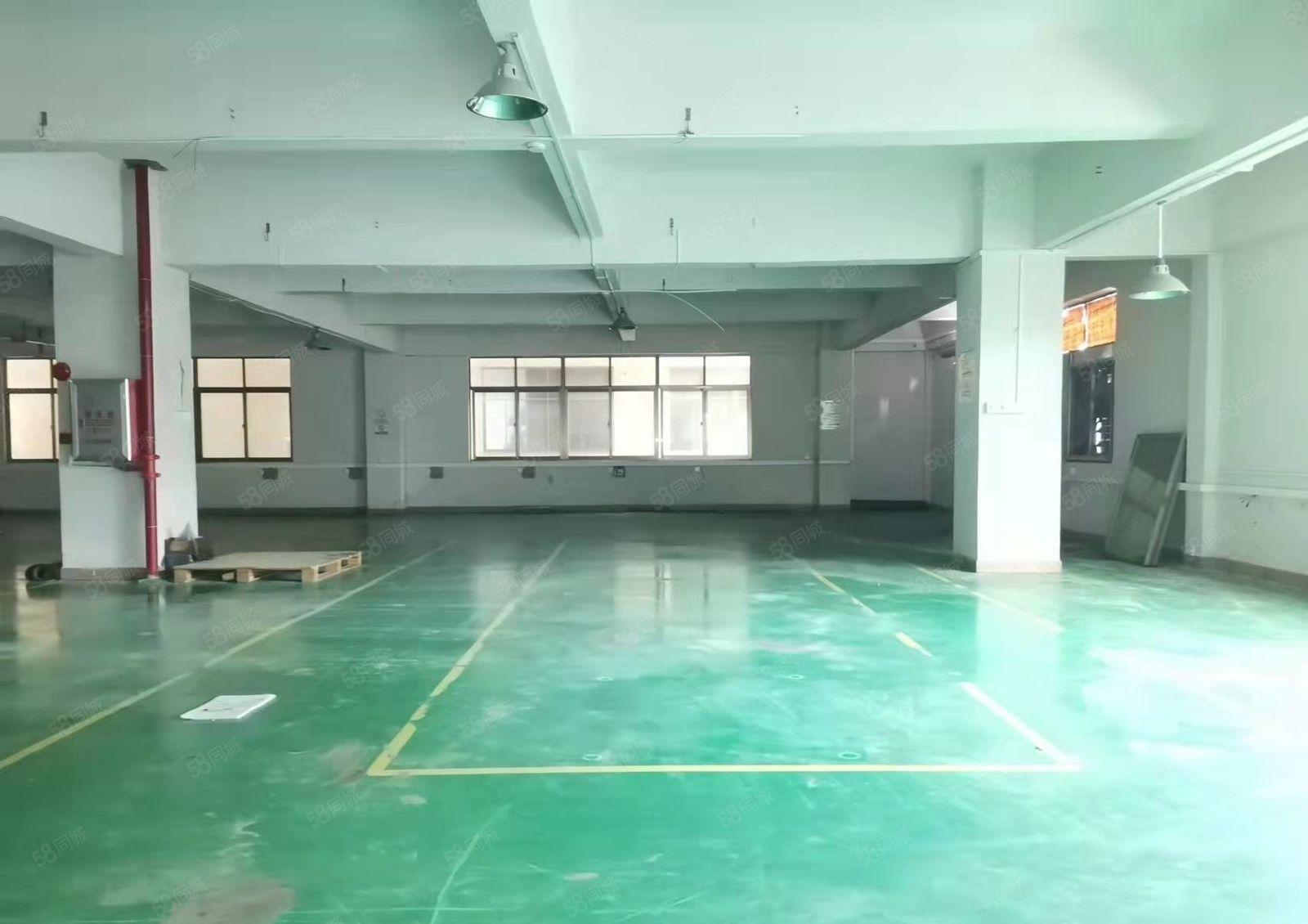 长安镇宵边，临近深圳新出一楼1100平，形象好，厂房出租