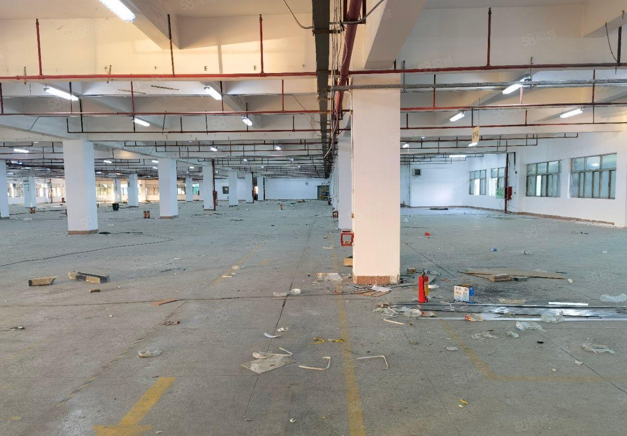 长安红本上市公司形象15F可分租