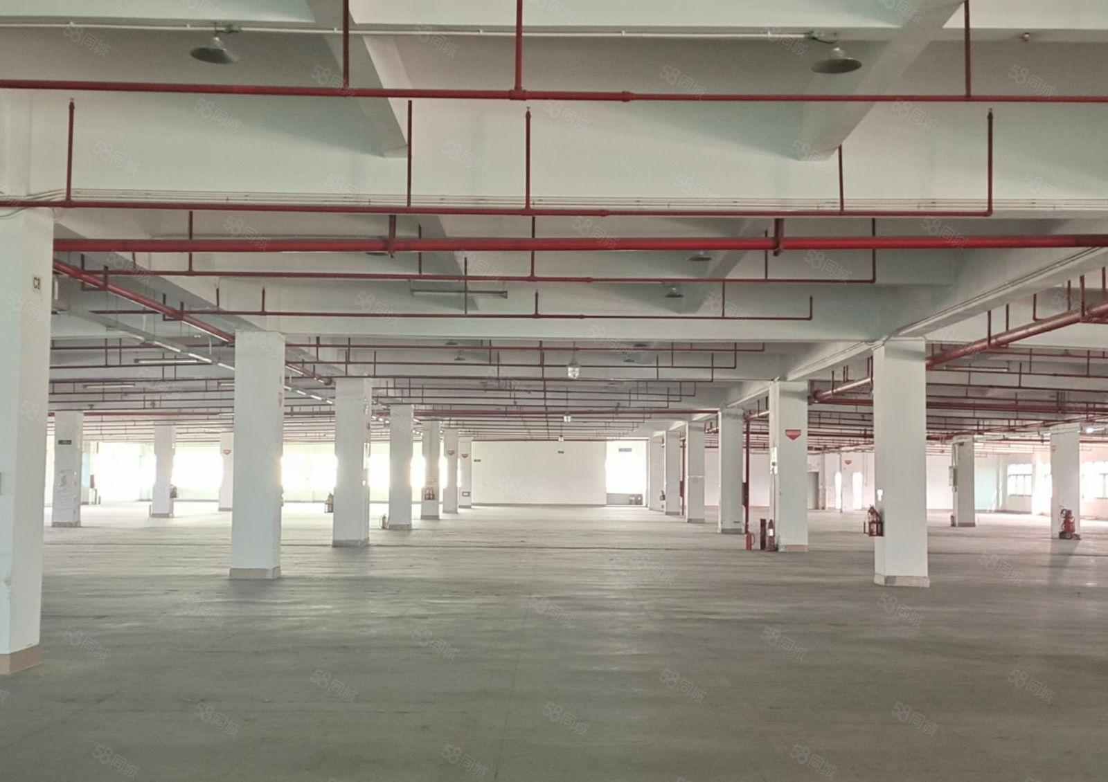 新出一二楼厂房各6250平可分租上市公司形象空地大带红本