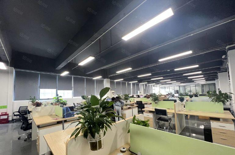 长安乌沙2650平可分精装修低价厂房仓库无尘车间一楼楼上出租