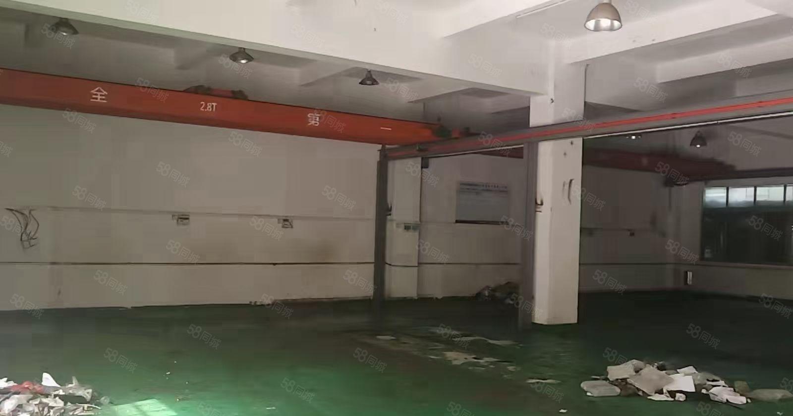 新出一楼厂房650平带航车带办公室形象好空地大